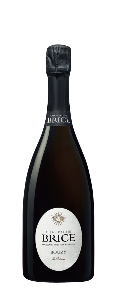 Brice Bouzy Blanc de Noirs Le Poteau Millésime
