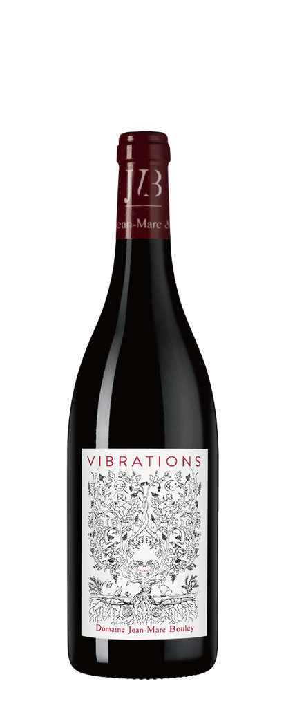 Jean-Marc & Thomas Bouley Bourgogne Hautes Côtes de Beaune Vibrations