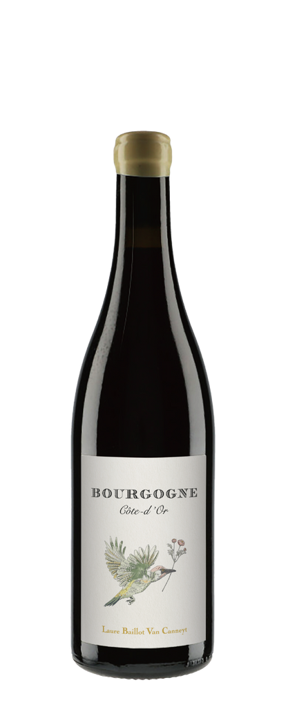 Laure Baillot Van Canneyt Bourgogne Côte d'Or