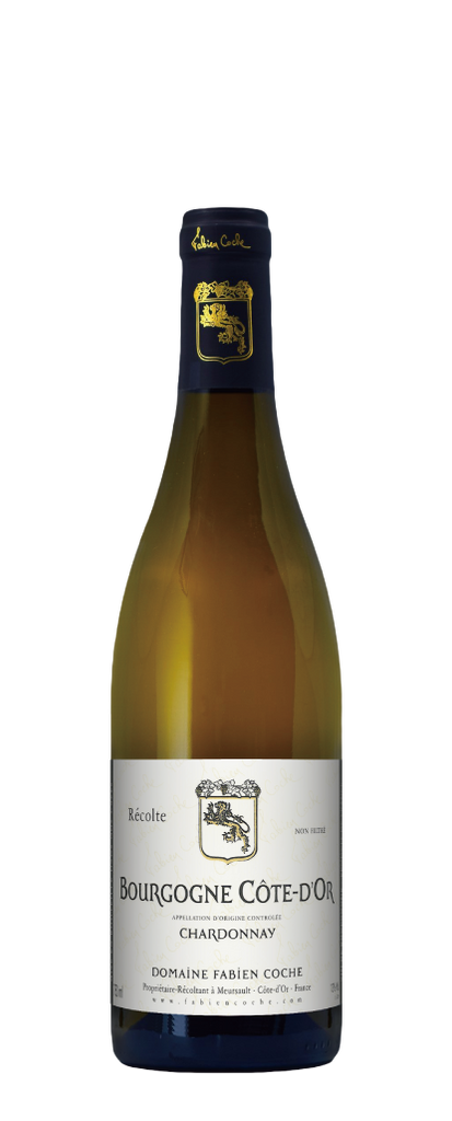 Fabien Coche Bourgogne Côte d'Or Chardonnay