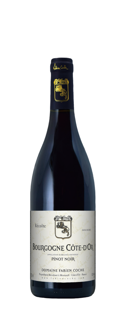 Fabien Coche Bourgogne Côte d'Or Pinot Noir