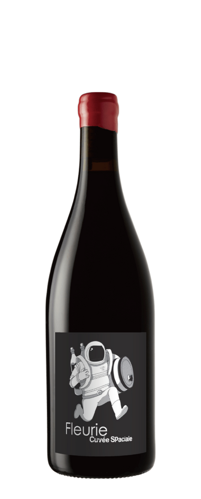 Romain Zordan Fleurie Spaciale