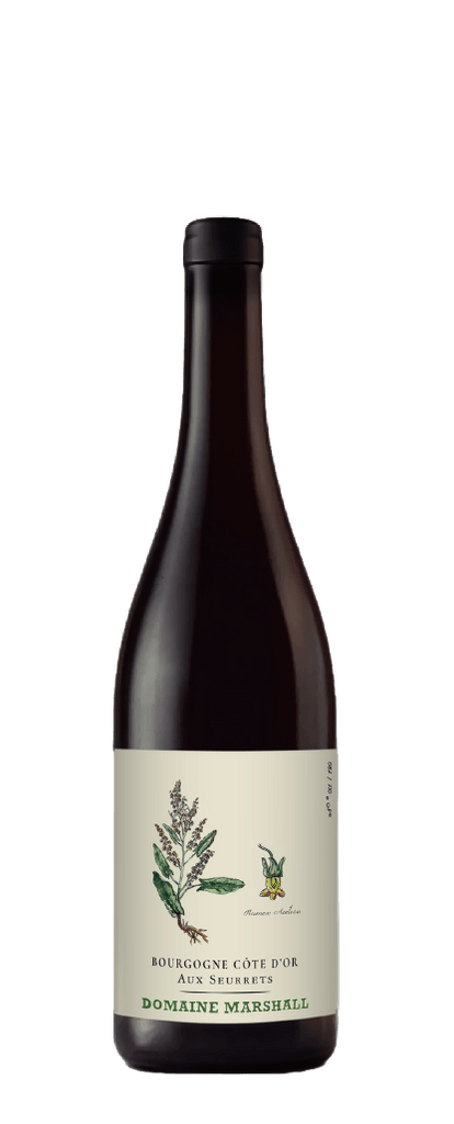 Jean Marshall Bourgogne Côte d'Or Aux Seurrets