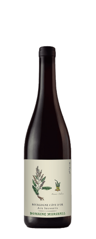 Jean Marshall Bourgogne Côte d'Or Aux Seurrets