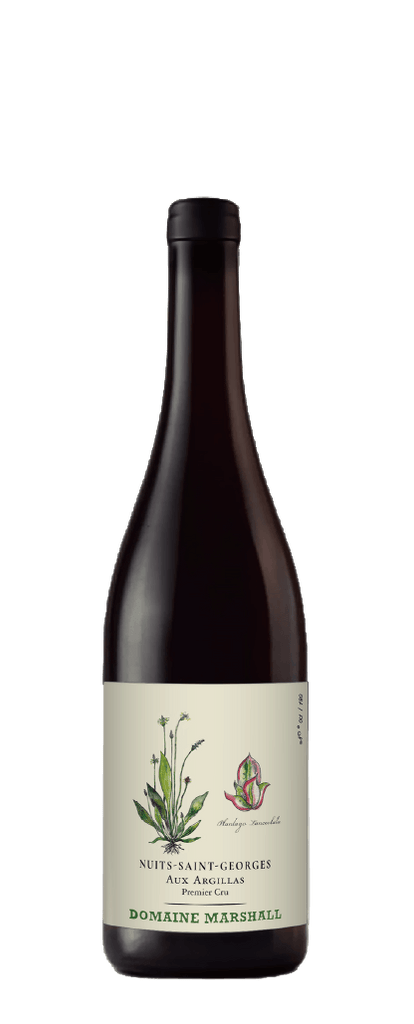 Jean Marshall Nuits Saint Georges 1er Cru Aux Argillas