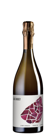 Elise Bougy Les Mesneux 1er Cru Le Mont Chainqueux NV
