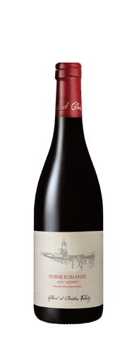 Gilbert et Christine Felettig Vosne Romanée Aux Jachees