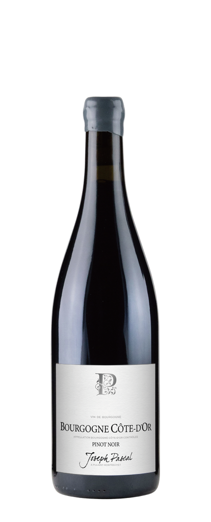 Joseph Pascal Bourgogne Côte d'Or Pinot Noir