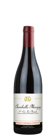 Maxime Cheurlin Noëllat Chambolle Musigny 1er Cru Les Noirots