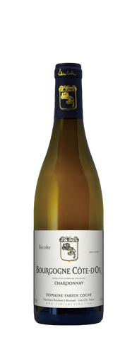 Fabien Coche Bourgogne Côte d'Or Chardonnay